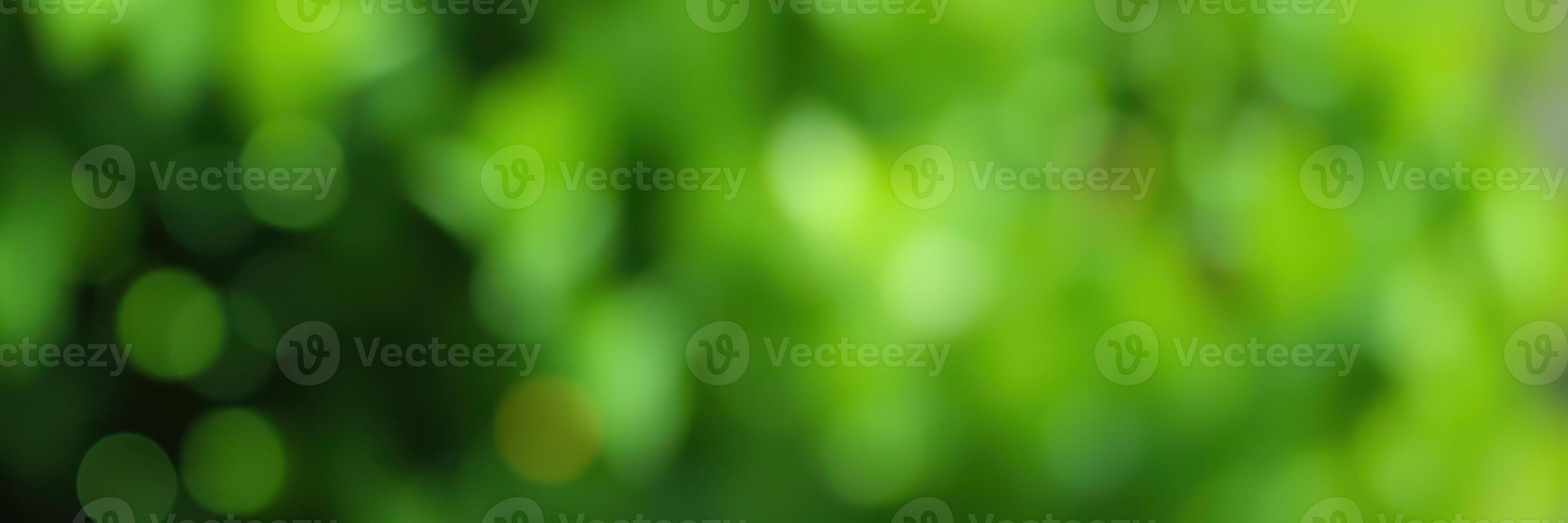 Vibrant green foliage captured in soft focus during a sunny afternoon in a lush garden photo