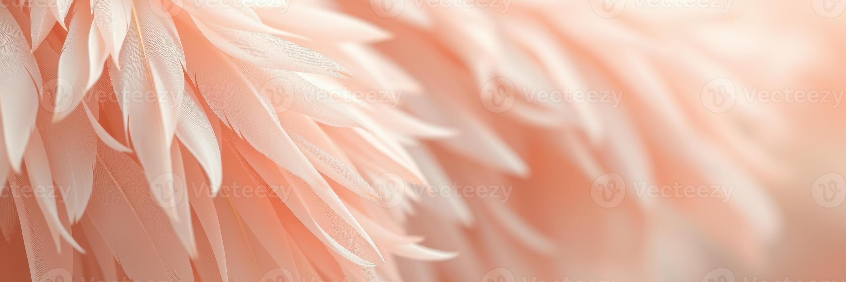 Delicate pink feathers create a soft and elegant texture for artistic purposes photo