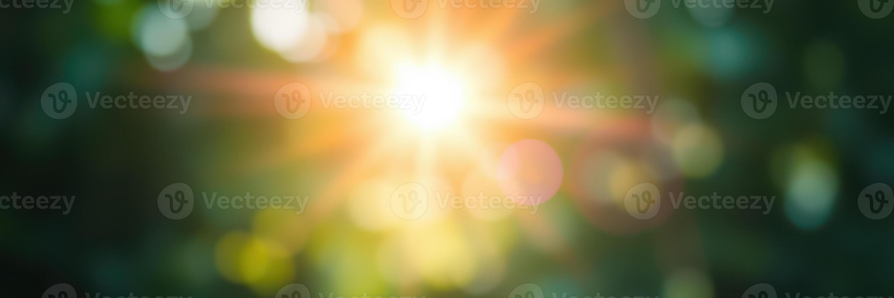 Sunlight filters through tree foliage creating a warm, radiant atmosphere in a serene natural setting photo