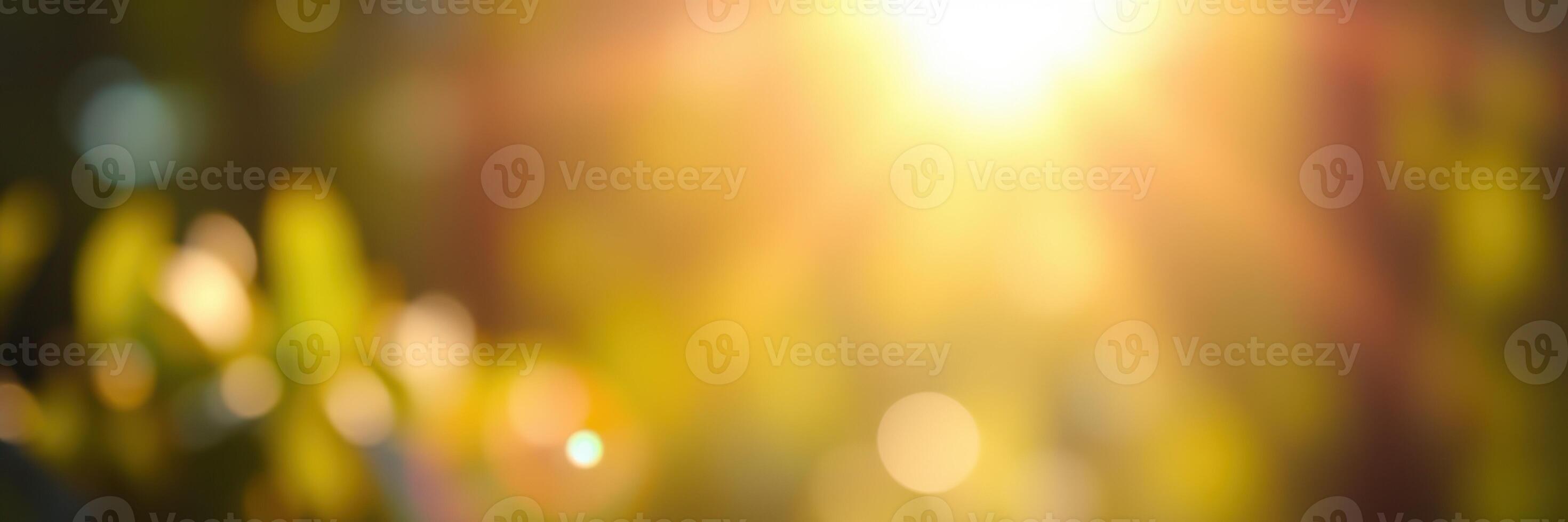Sunlight filters through lush greenery in a tranquil natural setting during a warm afternoon photo