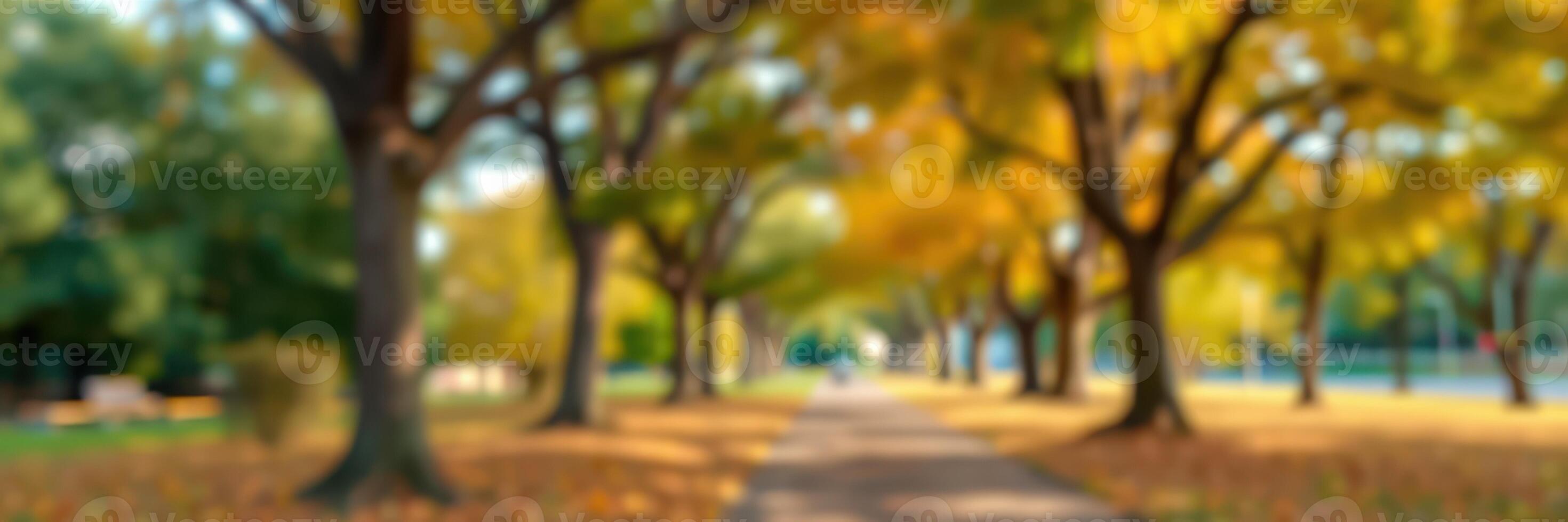Colorful autumn pathway lined with trees and fallen leaves in a serene park setting during daytime photo