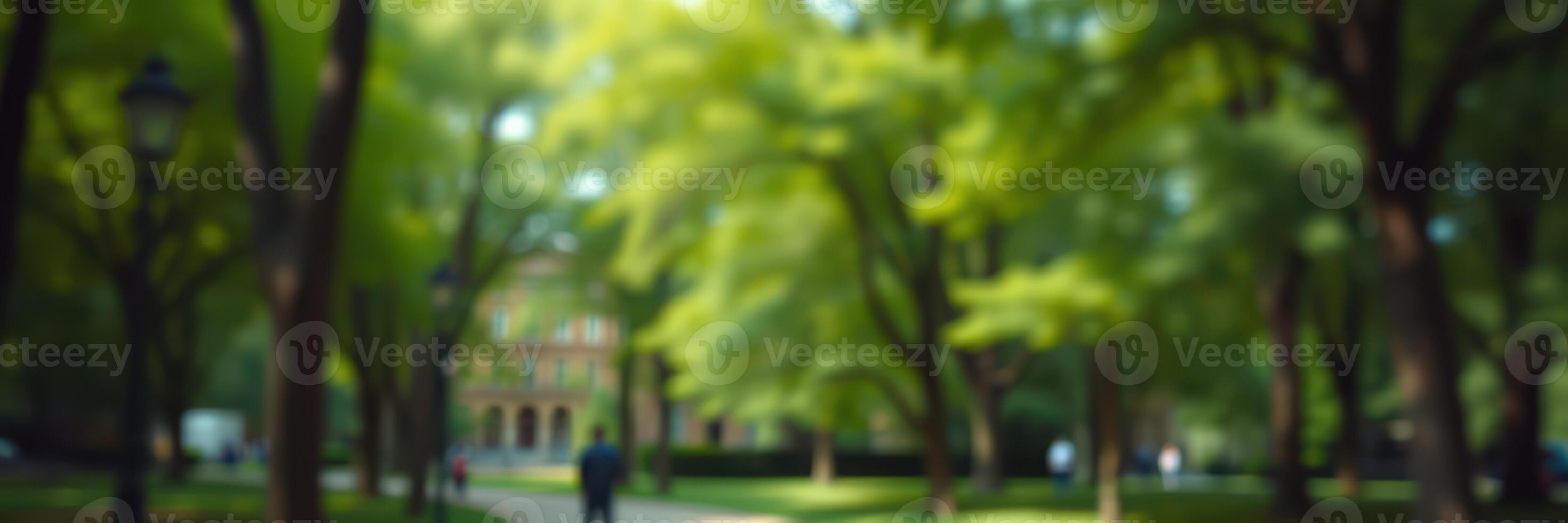 Walking through a lush green park under a canopy of trees on a sunny day in spring photo