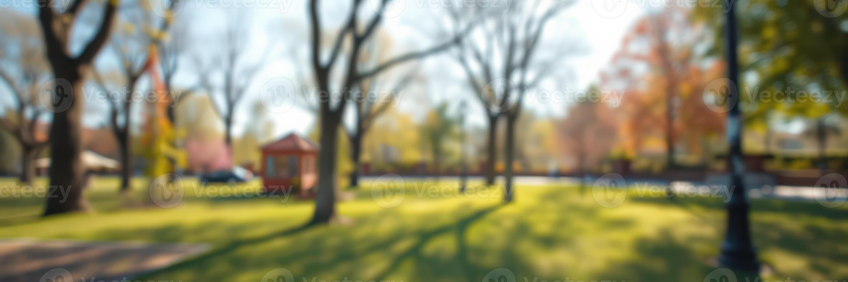 Bright sunny day in a colorful park with trees, shadows, and serene atmosphere in autumn season photo