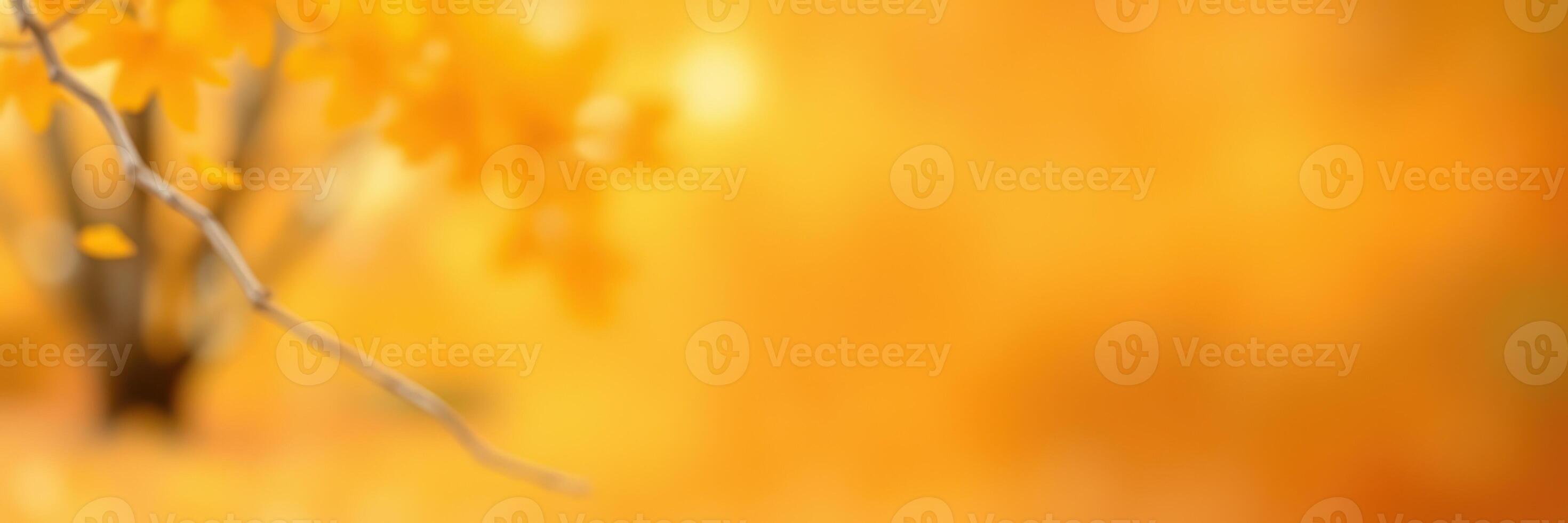 Vibrant autumn leaves creating a warm atmosphere in a wooded area during fall photo