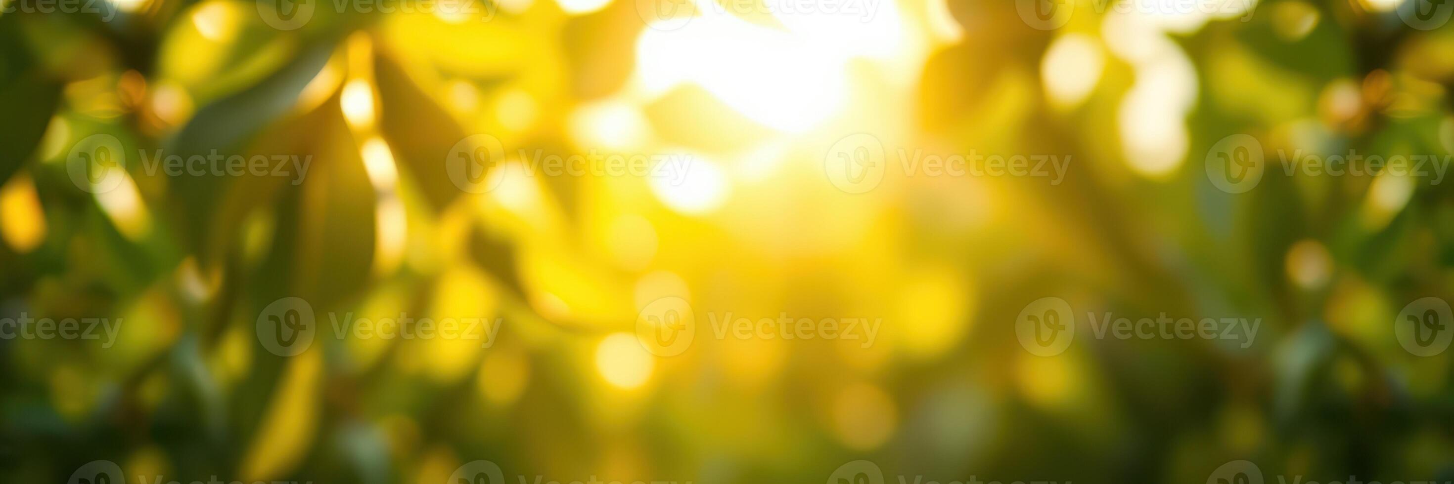 Bright sunlight filtering through green leaves in a lush forest during a warm afternoon photo