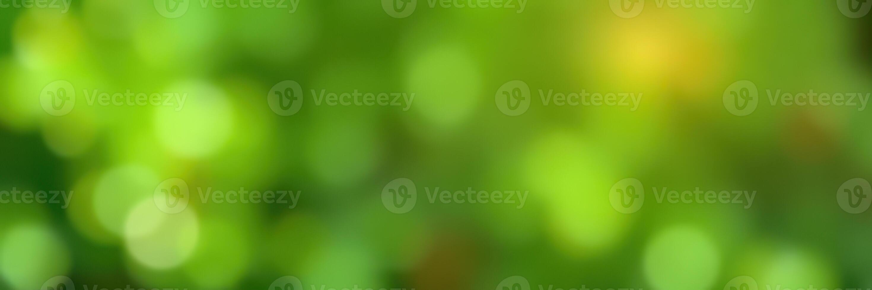 Beautiful blurred green background with soft bokeh effect suitable for nature themes and designs photo