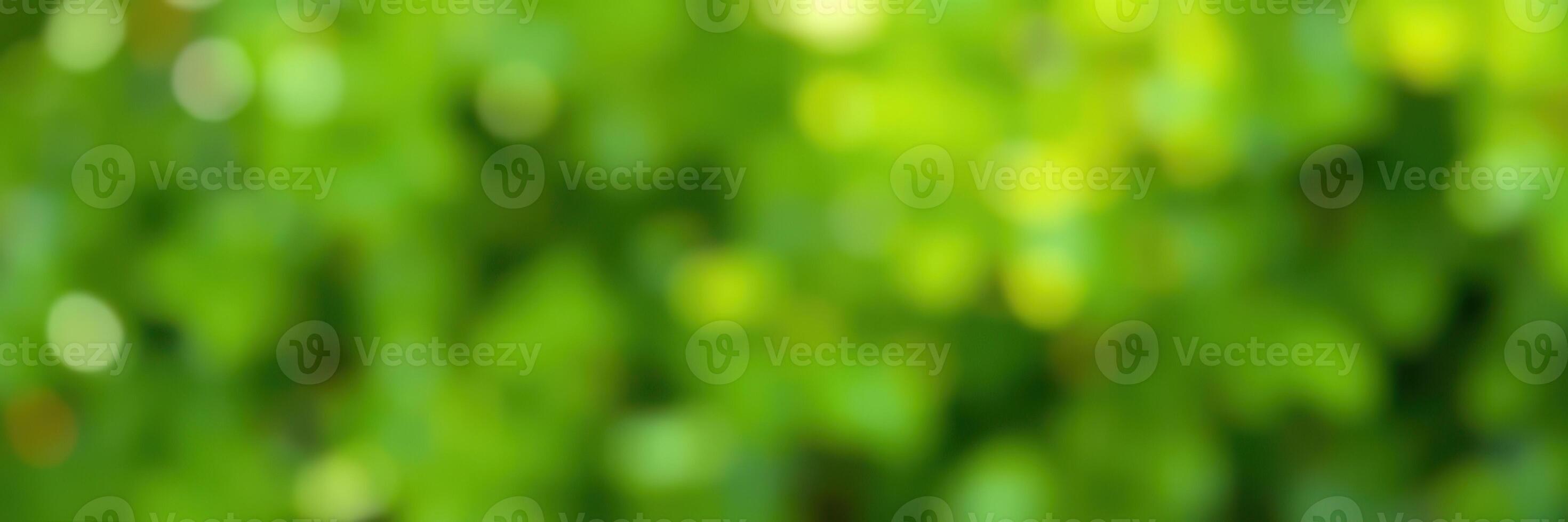 Lush green foliage blurs in natural light, creating a serene and refreshing atmosphere in an outdoor setting photo