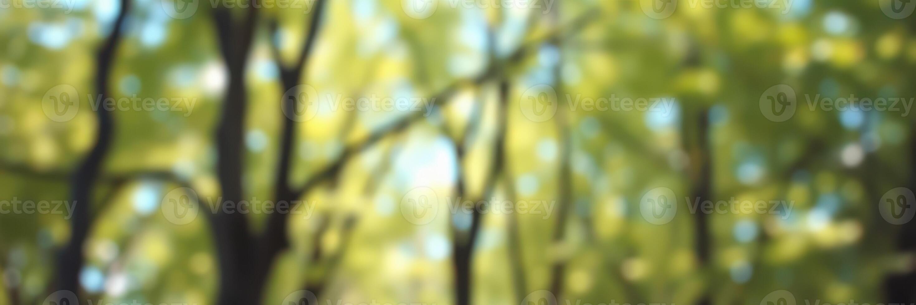 Lush green forest canopy with sunlight filtering through branches creating a serene natural atmosphere photo