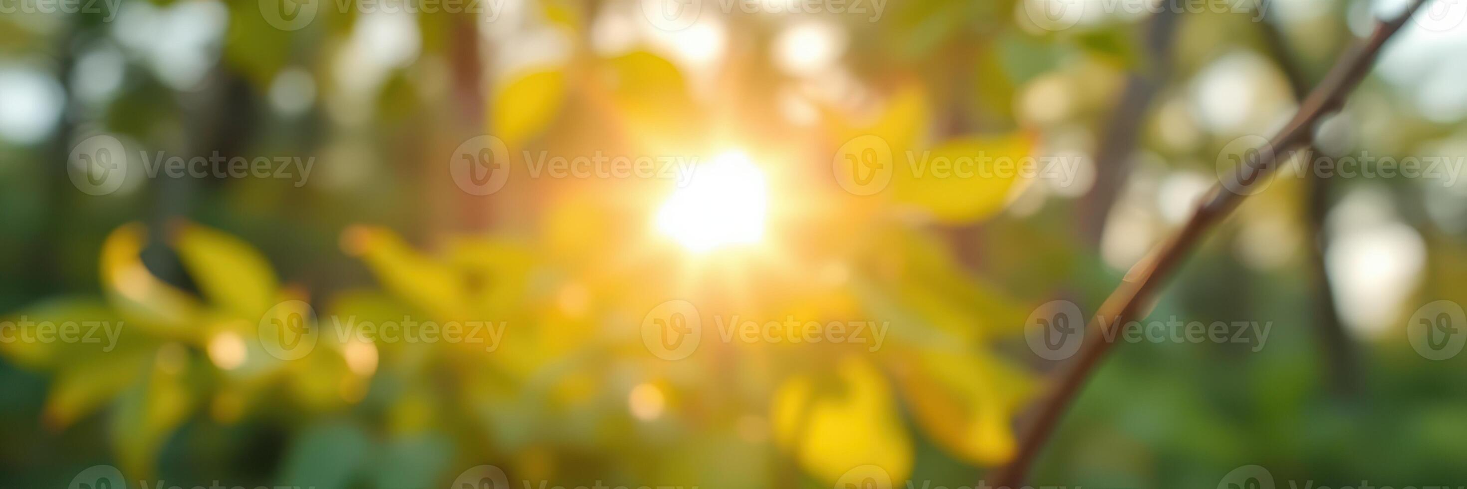 Sunlight filters through green leaves creating a warm, serene atmosphere in a forest during early morning hours photo