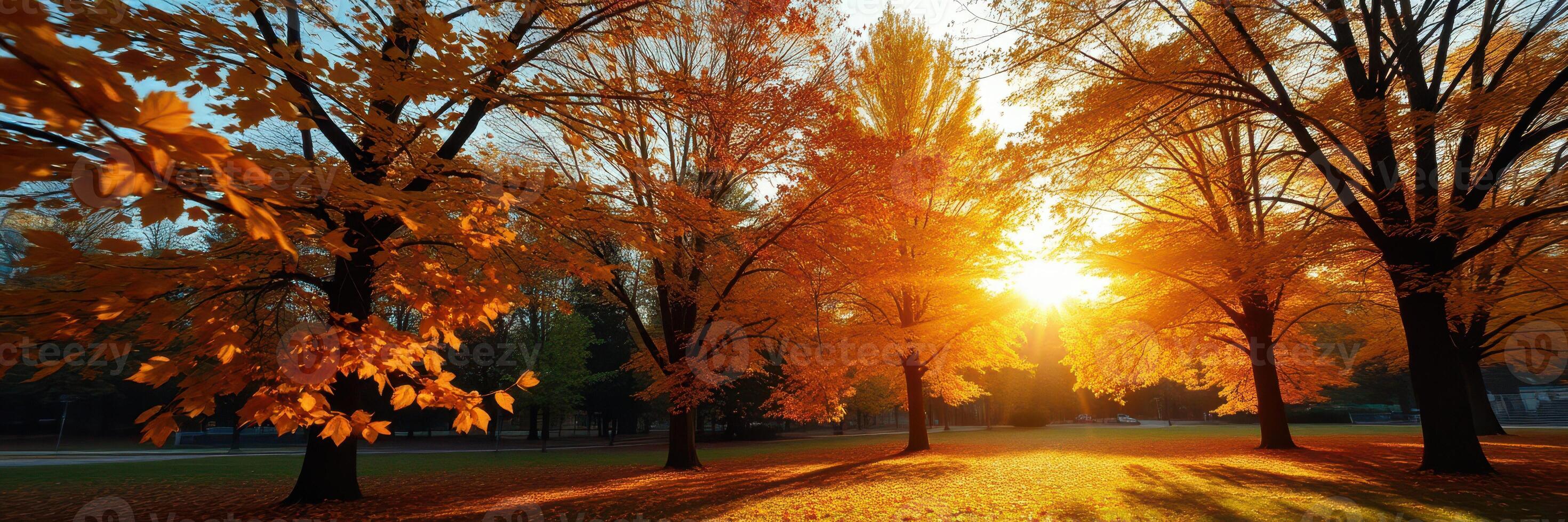 Autumn sunlight filters through vibrant orange leaves in a serene park at sunset photo