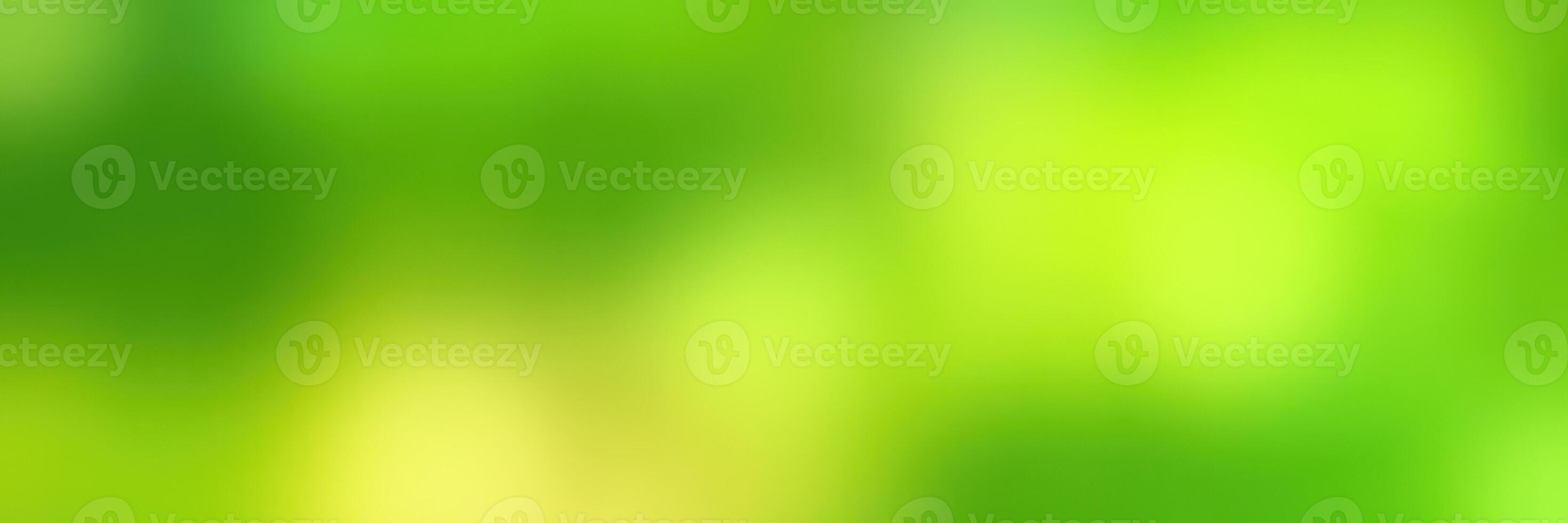 Vibrant green foliage reflecting sunlight in a serene natural setting during a warm summer afternoon photo