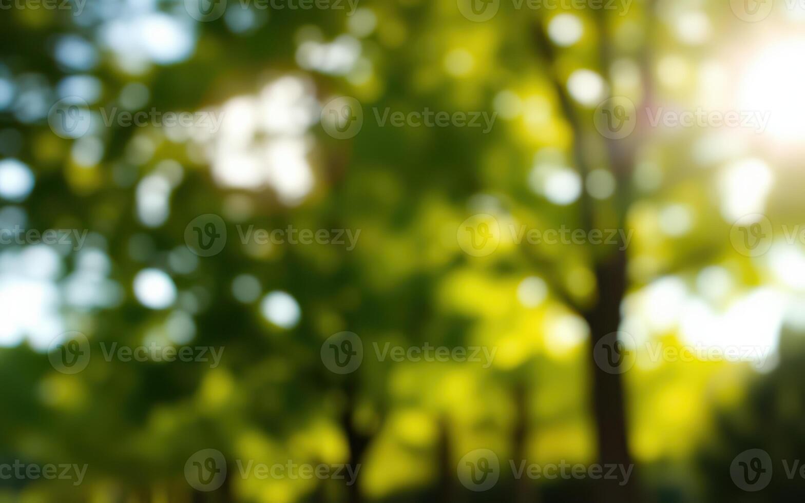 Bright sunlight filtering through green foliage in a serene forest setting during the afternoon photo