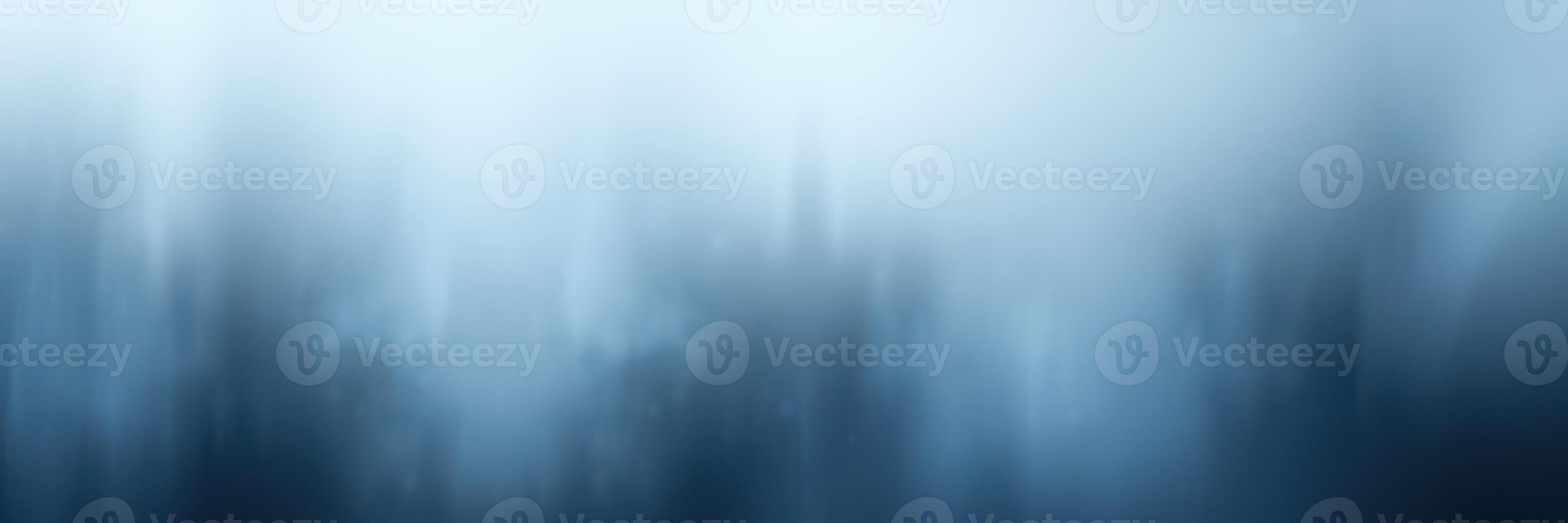 Mysterious forest landscape shrouded in fog during early morning light at a remote location photo