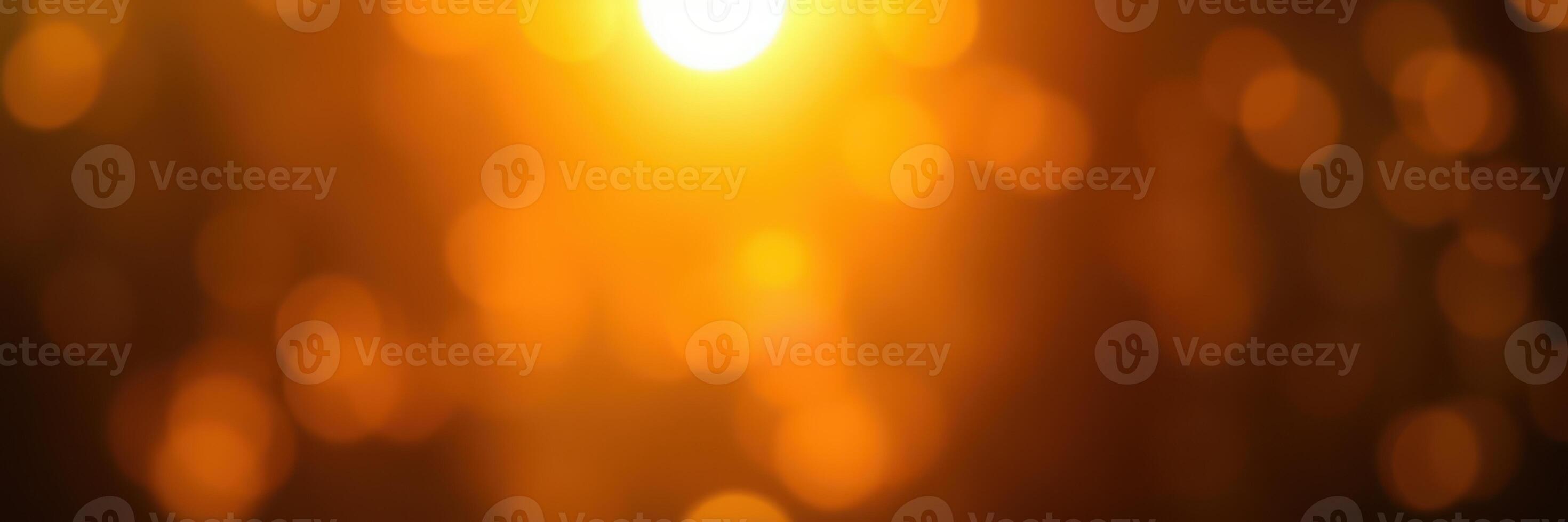 Warm sunlight filters through trees, creating a stunning golden glow in the early evening photo