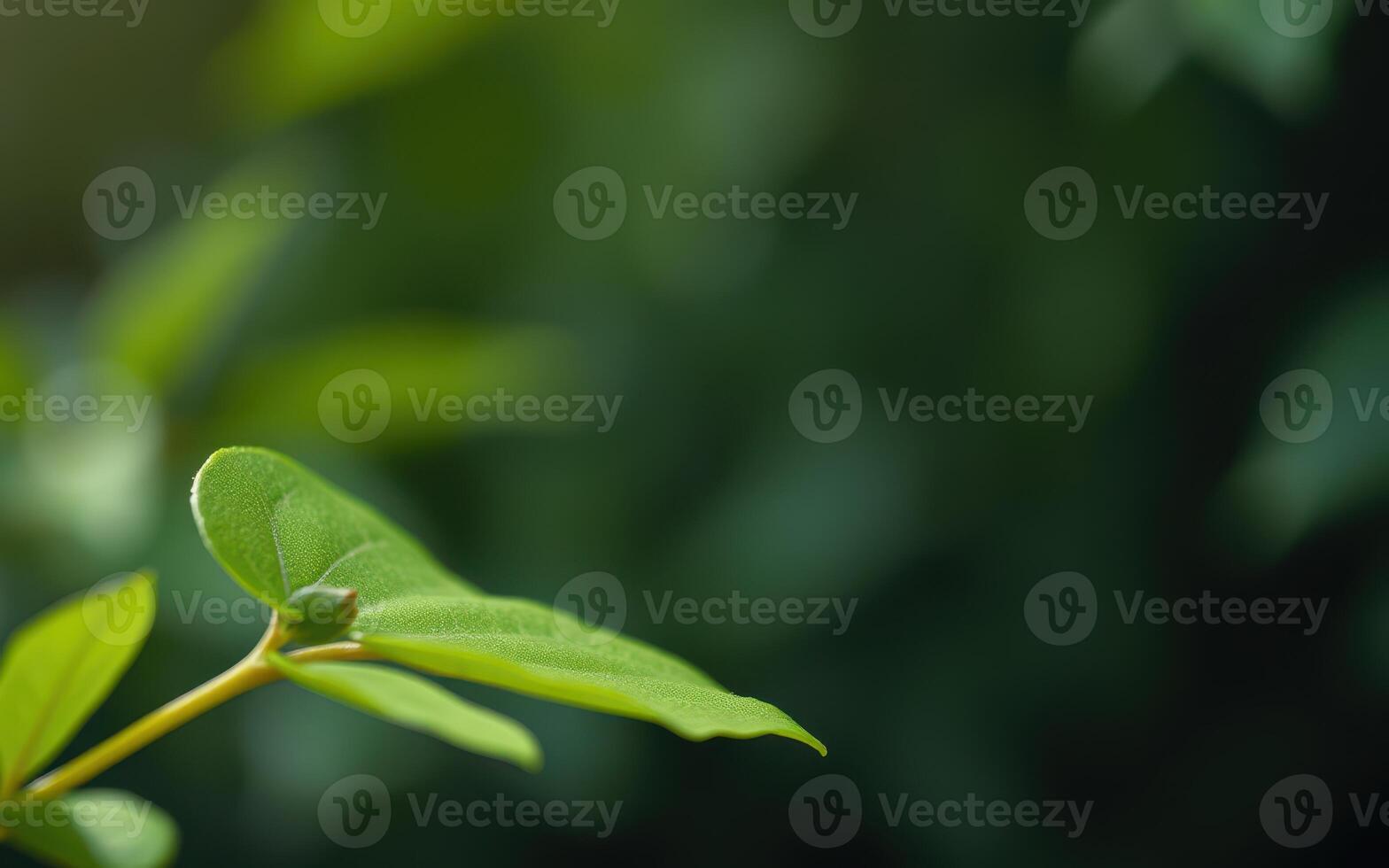 Close-up view of a vibrant green leaf showcasing texture in a natural setting during daylight photo