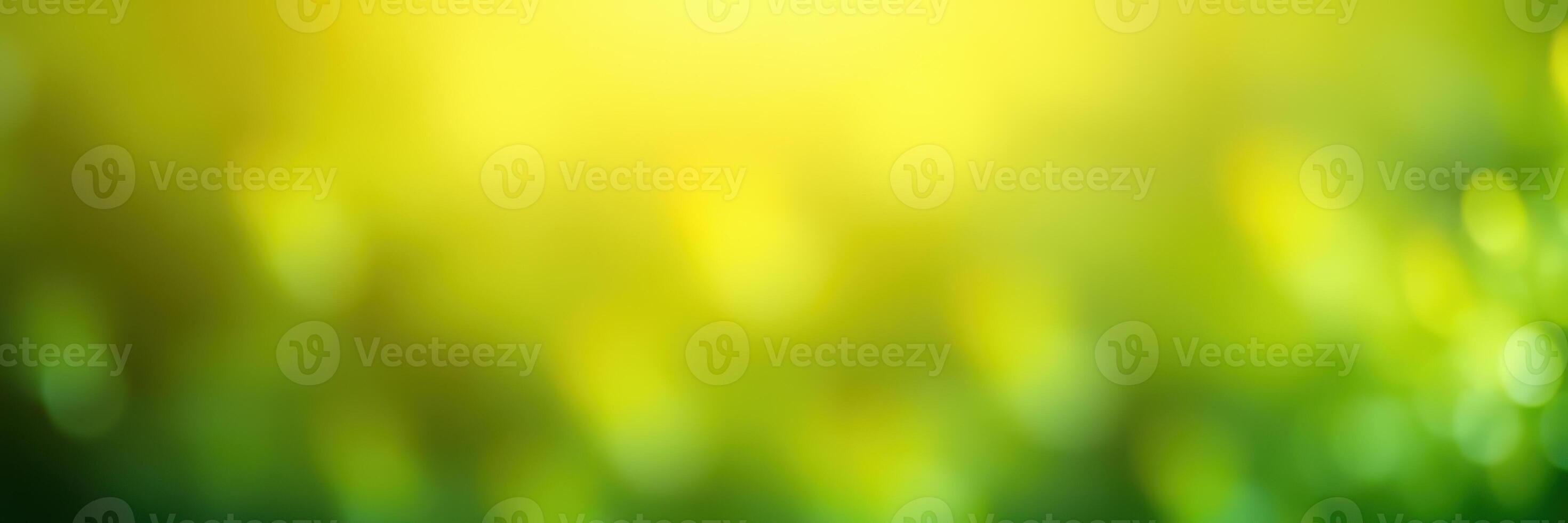 Soft golden light filters through green leaves creating a tranquil atmosphere in a peaceful forest location during daytime photo