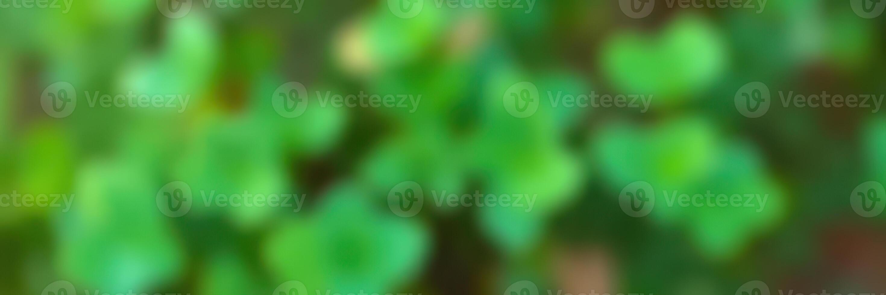 Lush green foliage captures the essence of nature in a vibrant garden setting during daytime photo