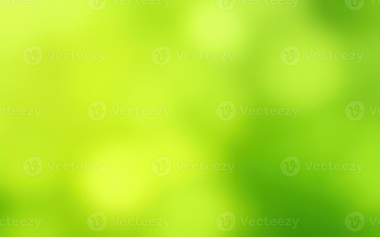 Lush green blurred background with soft light creating a tranquil atmosphere in nature's embrace photo