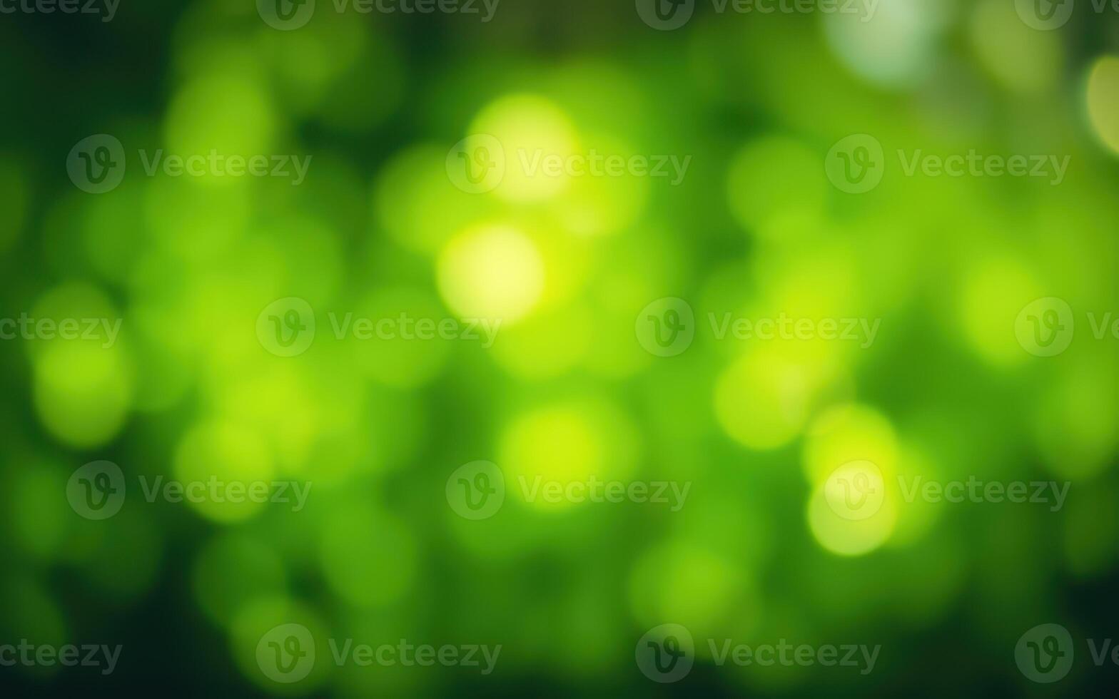 Vibrant green bokeh creates a soothing atmosphere in a sunlit forest during a peaceful summer afternoon photo