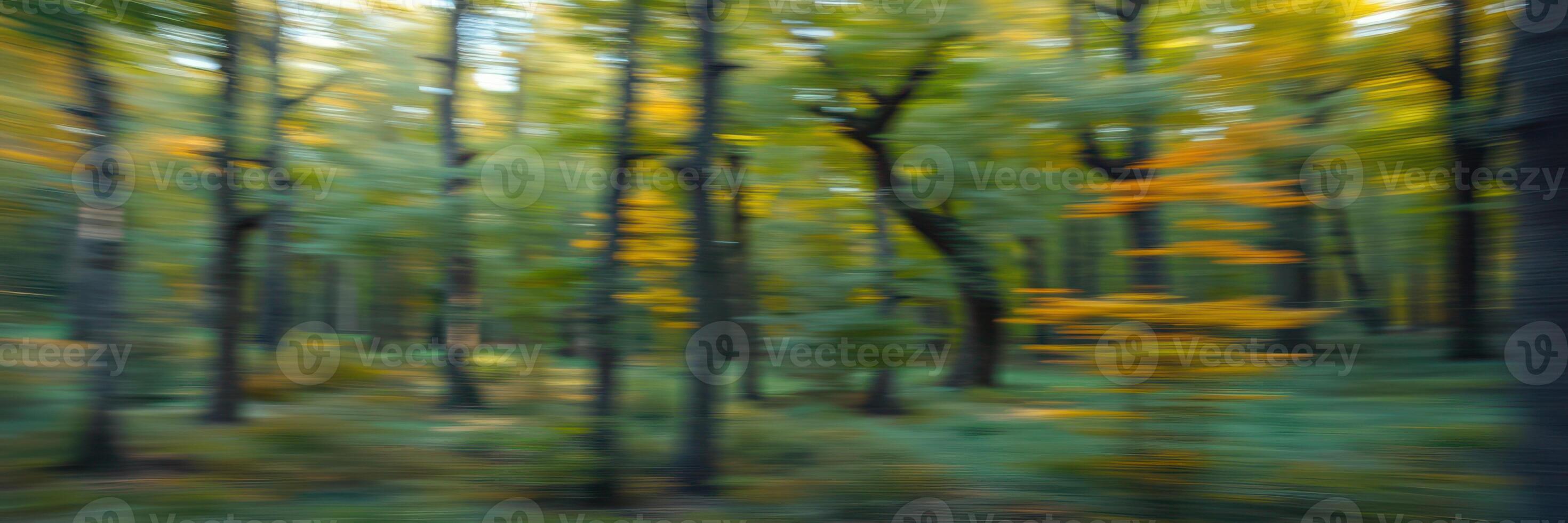Forest in autumn with blurred trees showing colorful foliage and golden sunlight filtering through photo