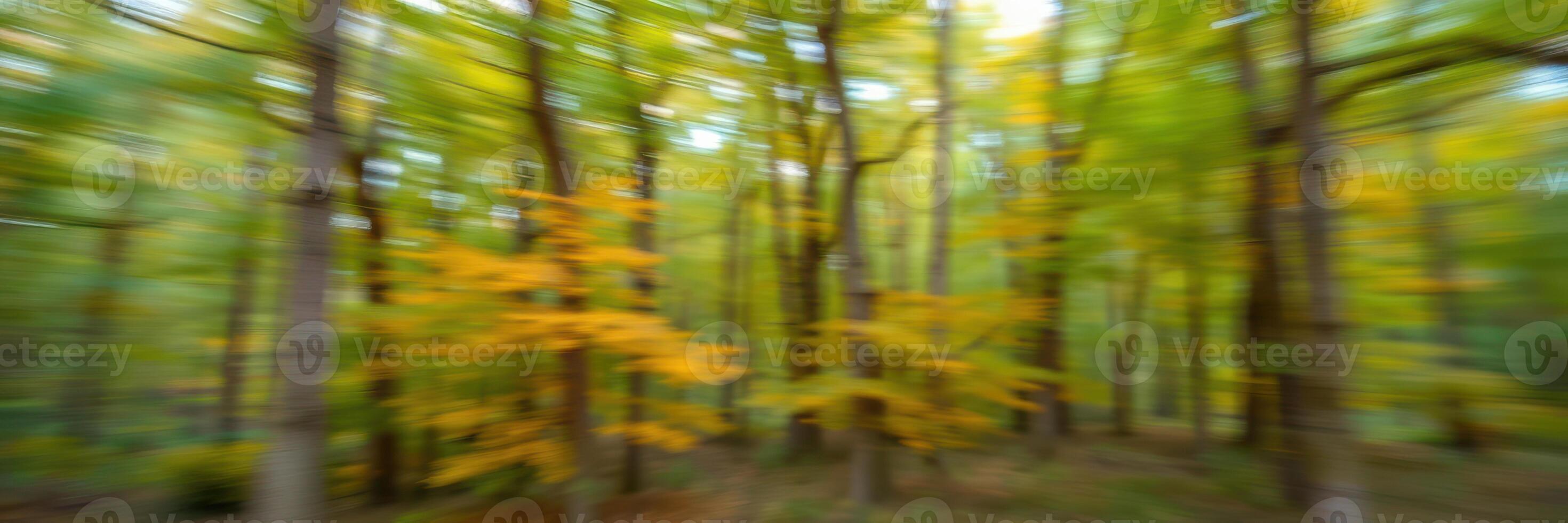 Vibrant autumn colors blur in a serene forest during a sunny afternoon in late October photo