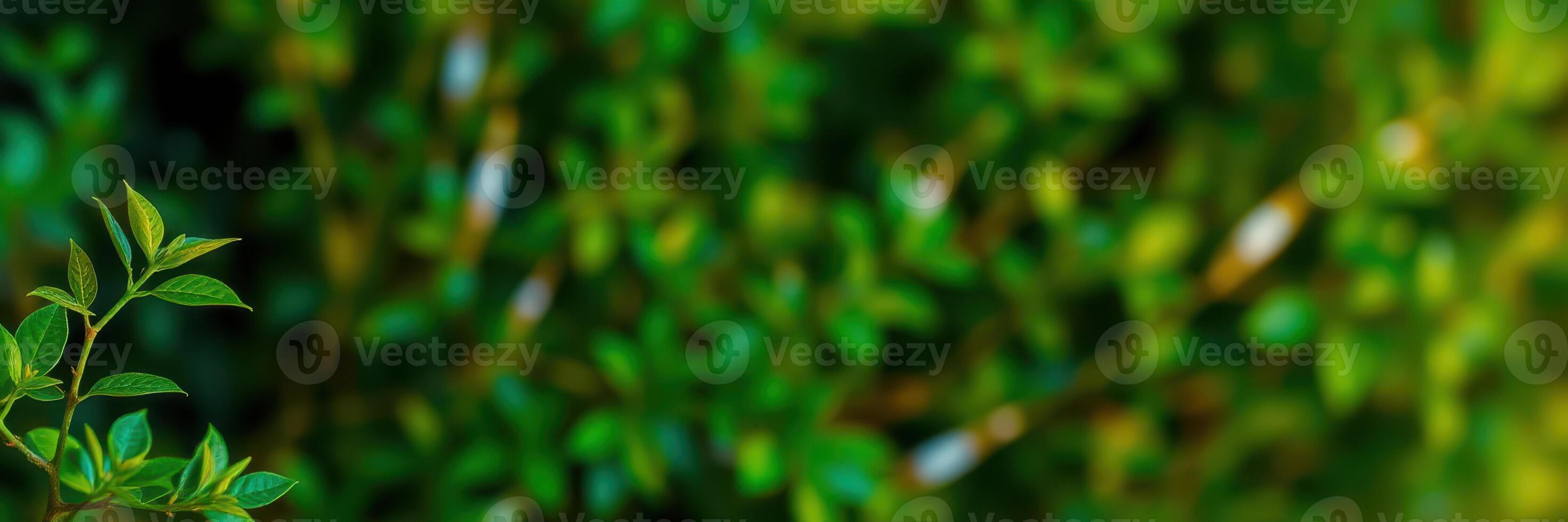 Lush green foliage thriving in a vibrant garden setting during bright daylight hours photo