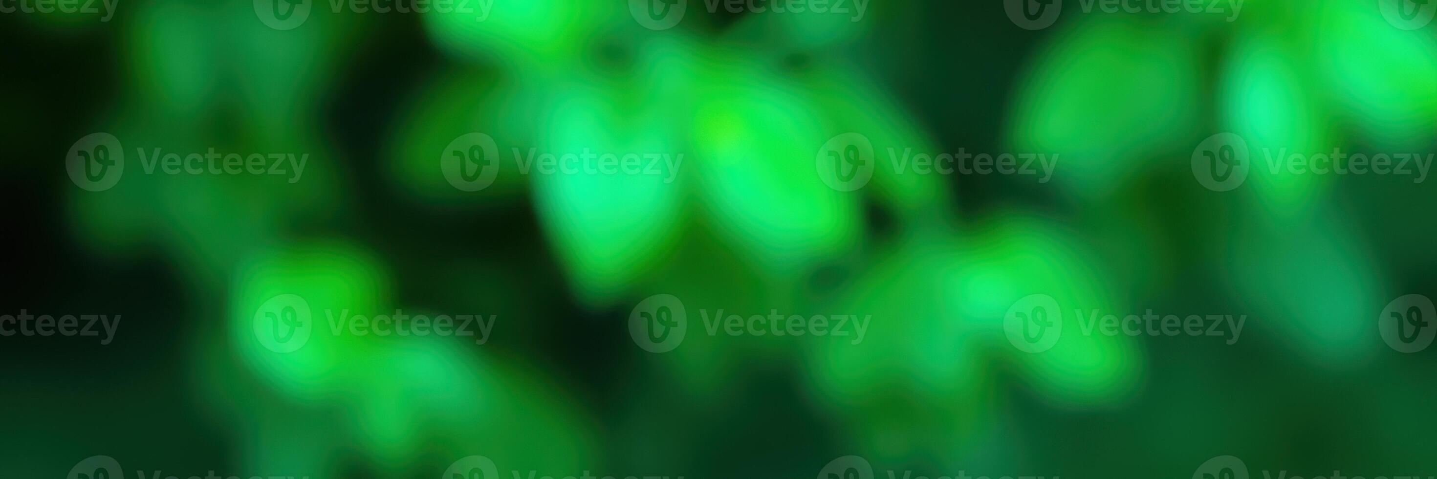 Lush greenery captured in a tranquil forest setting during the day with vibrant leaves illuminated by sunlight photo