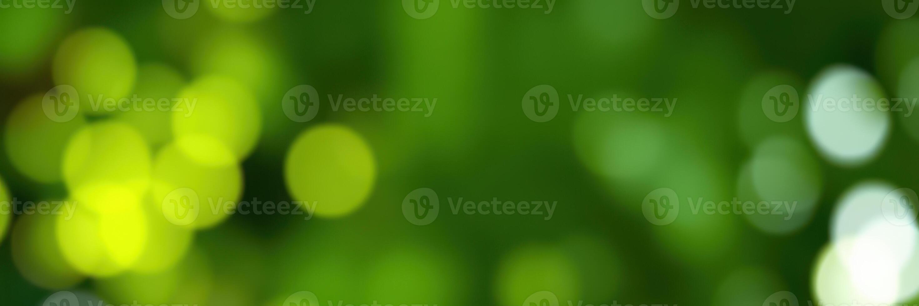 Soft green bokeh background creates a calming atmosphere in a natural setting photo