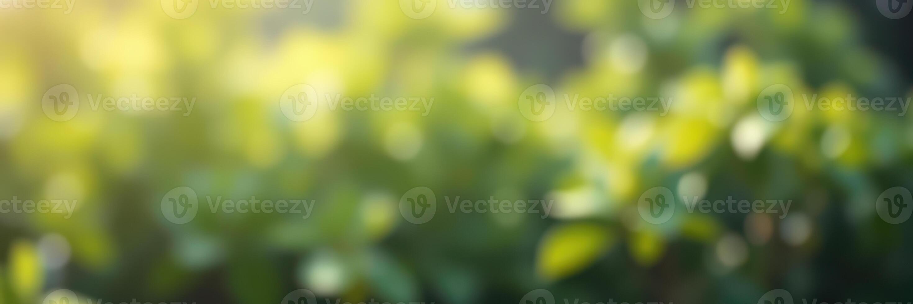 Sunlight filters through lush greenery creating a serene atmosphere in a garden during late afternoon photo