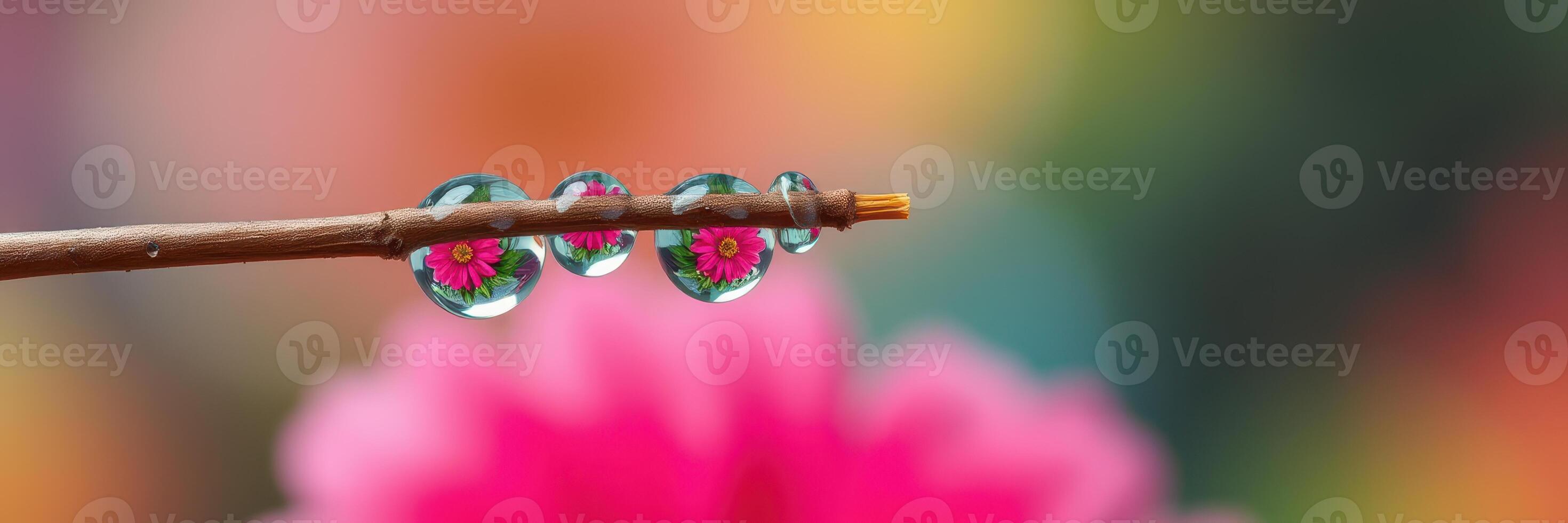 Water droplets on a branch reflecting colorful flowers against a blurred background photo