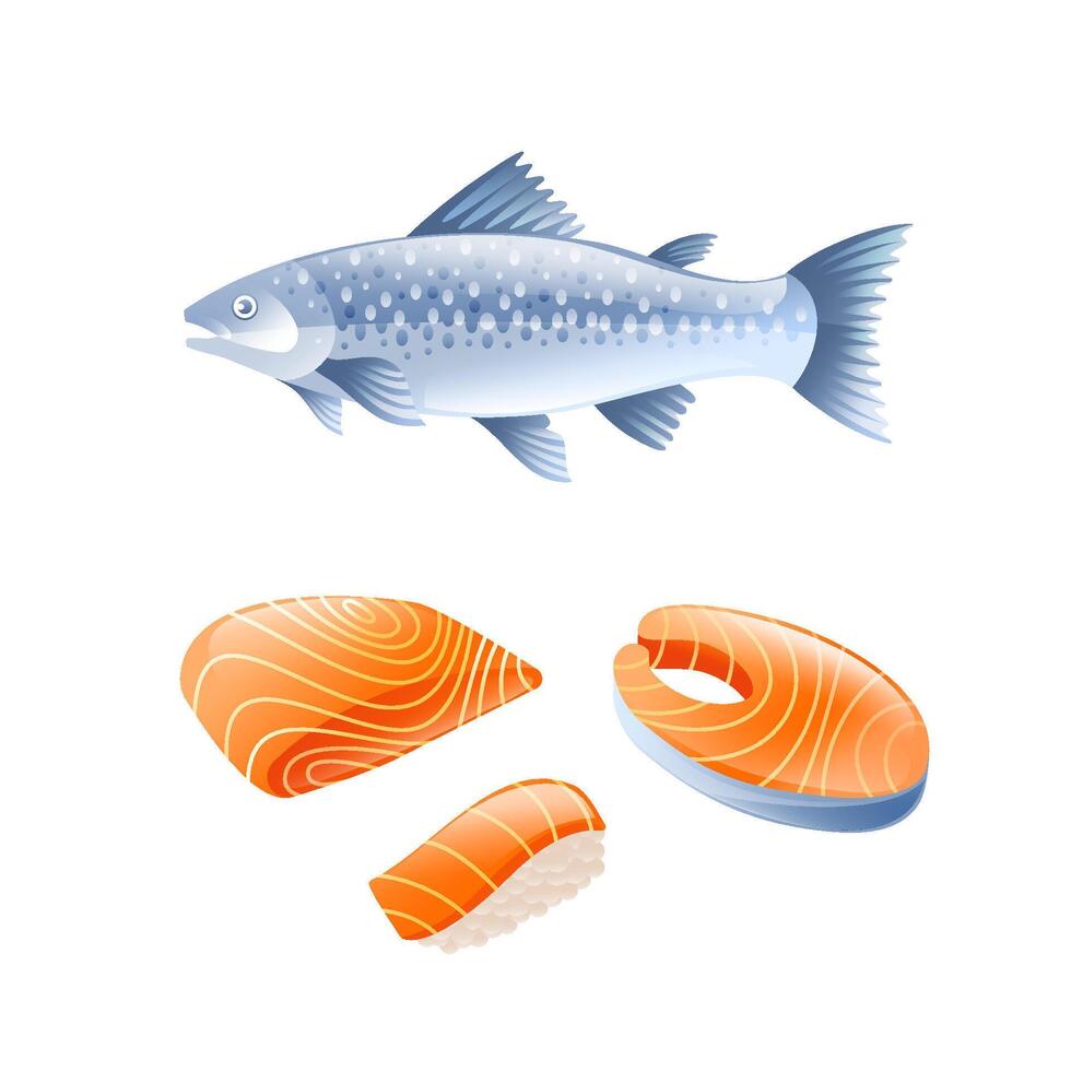 Illustration of salmon, salmon fillet, salmon steak and salmon sushi in realistic 3d style. vector
