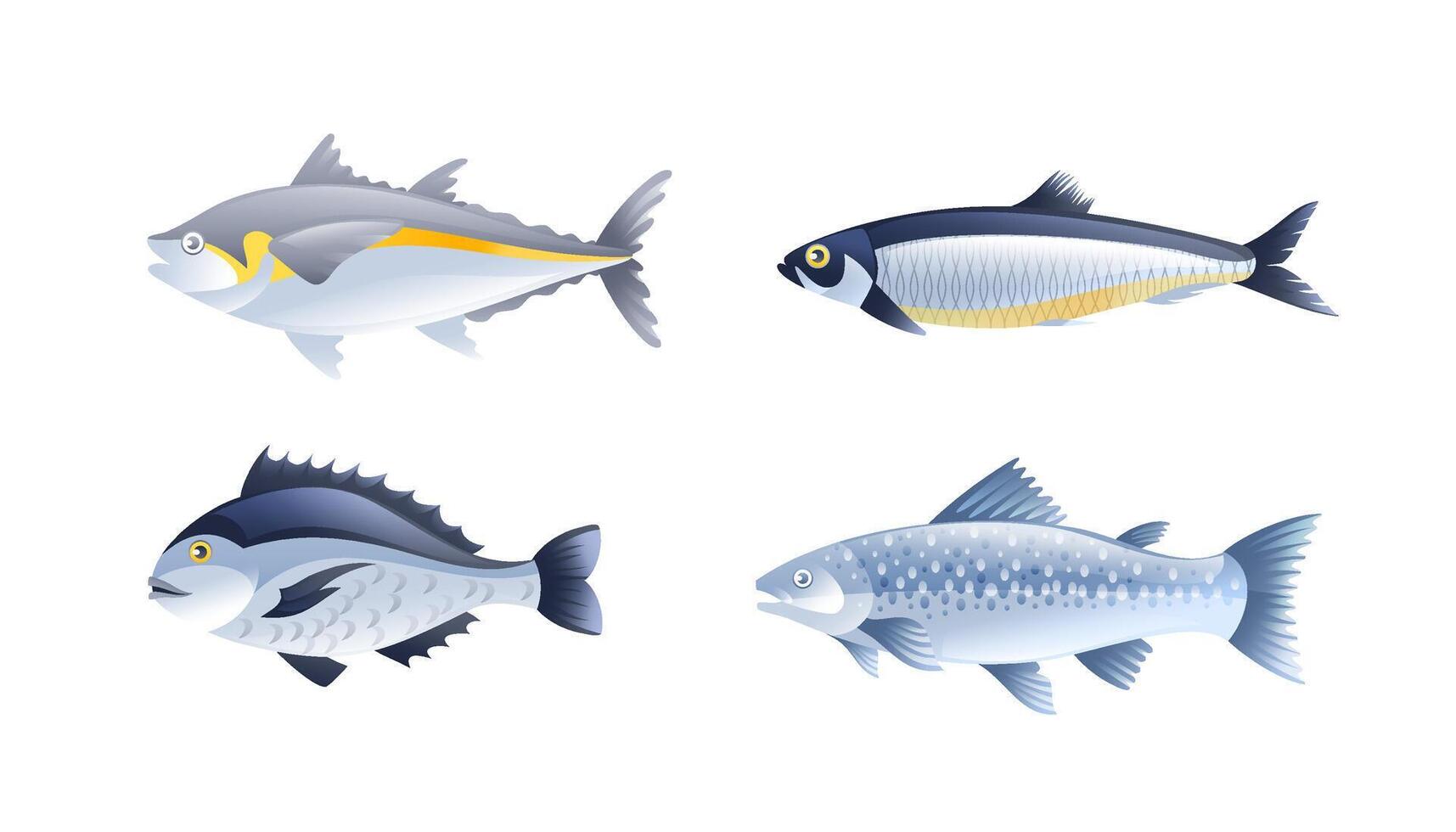 Illustration of sea fish, salmon, herring, dorado, sea bass in realistic 3D style. vector