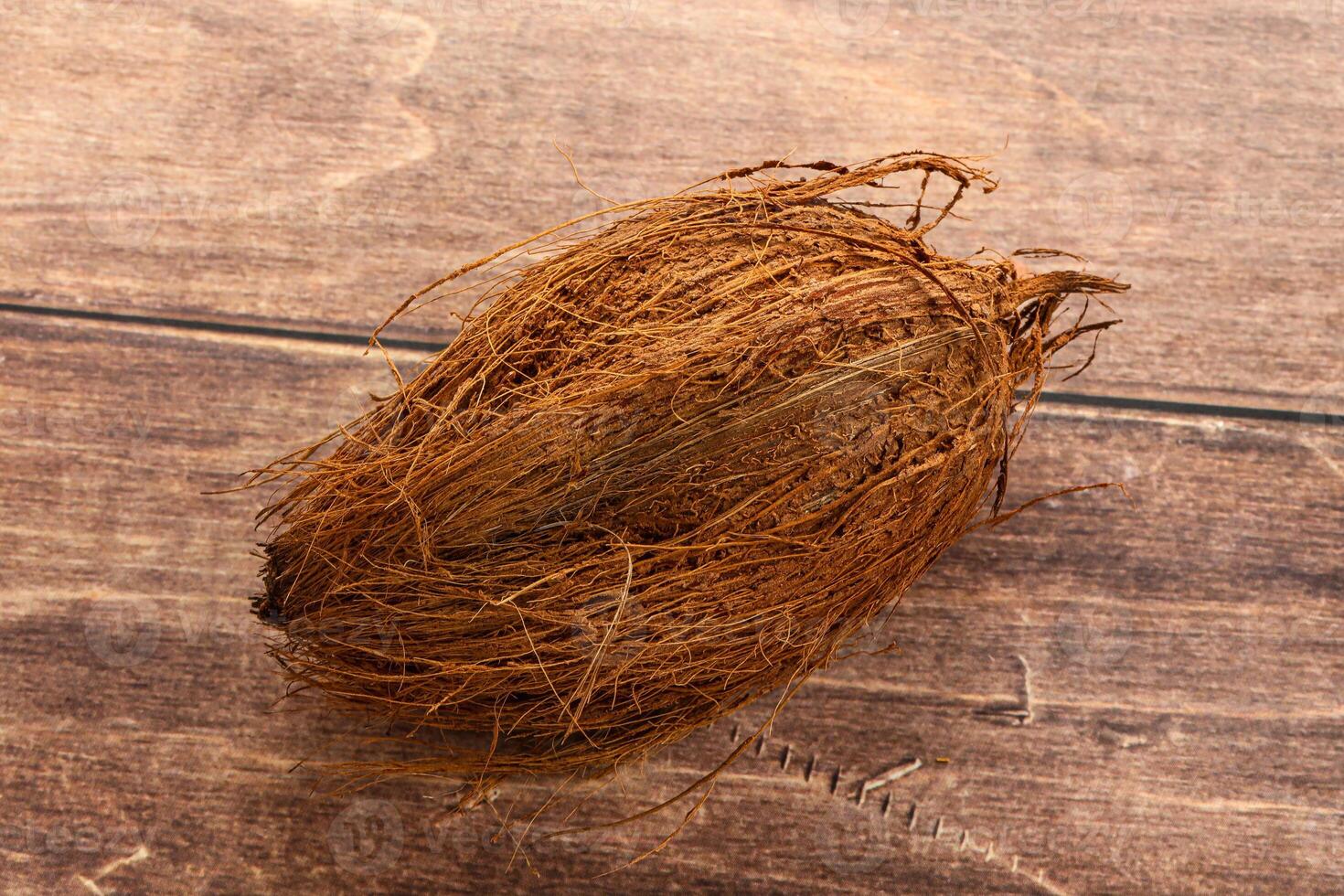 Natural exotic brown hairy coconut photo