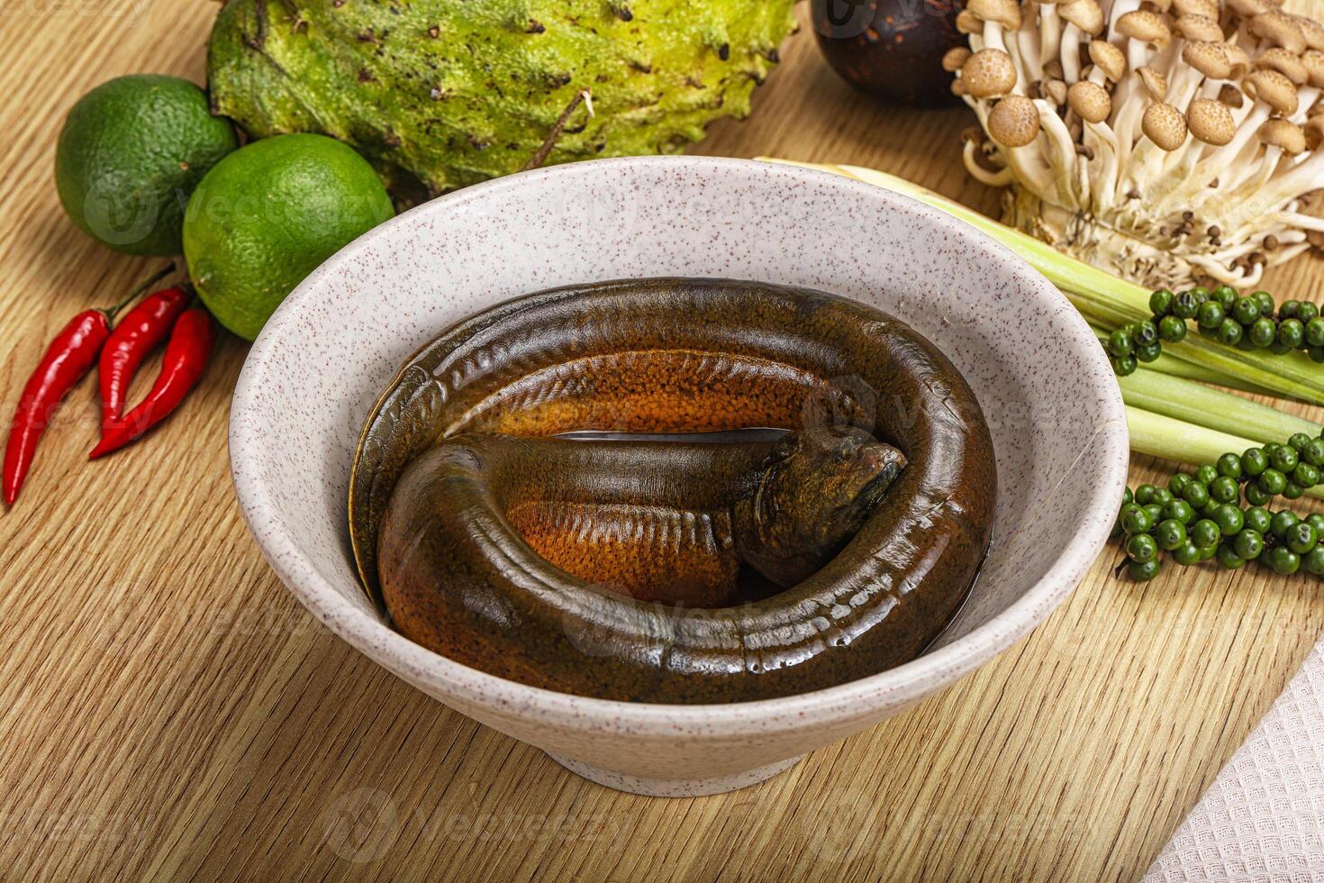 Fresh raw uncooked eel for grill photo
