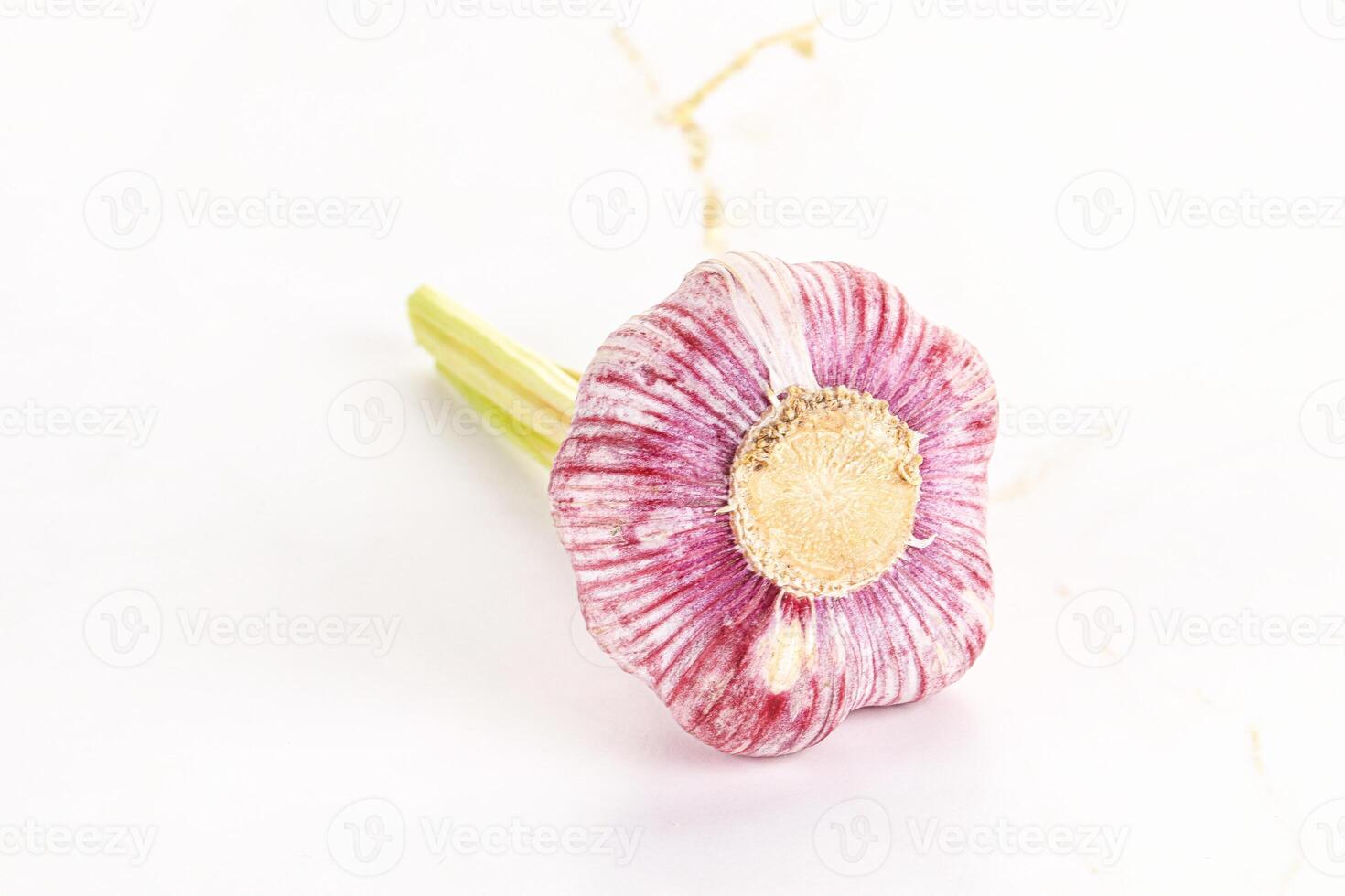Young fresh garlic for cooking photo