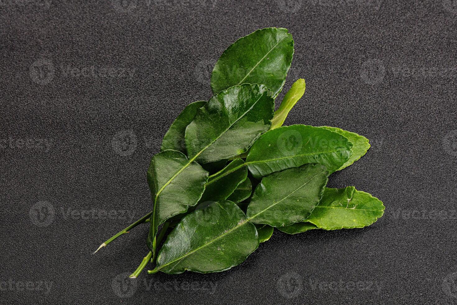 Aroma seasoning kaffir lime leaves photo