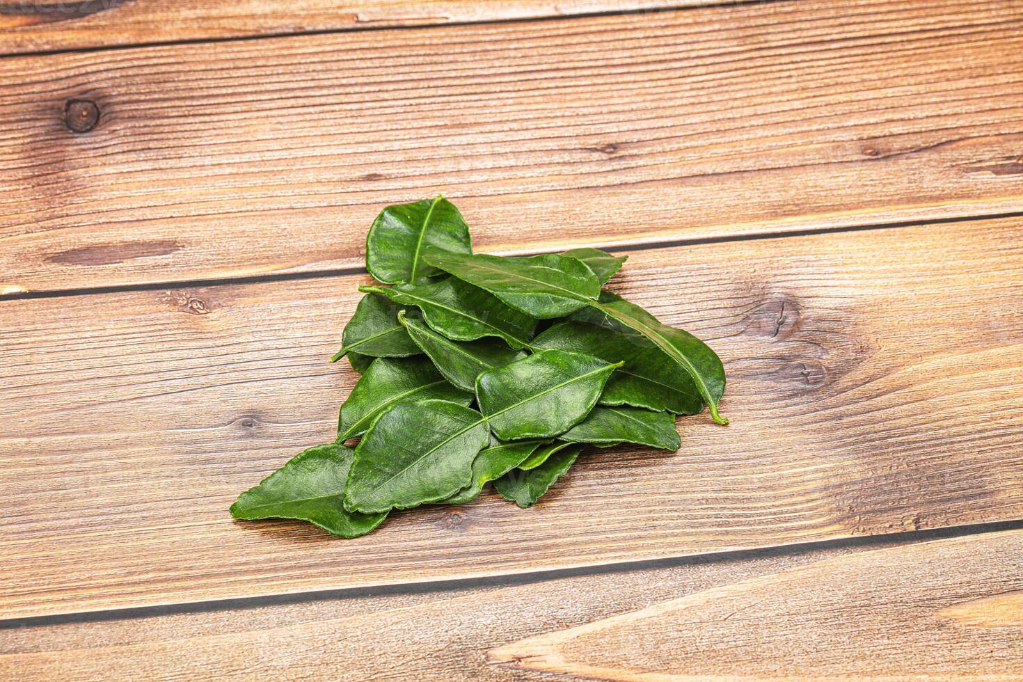 Thai cuisine - Kaffir lime leaves photo