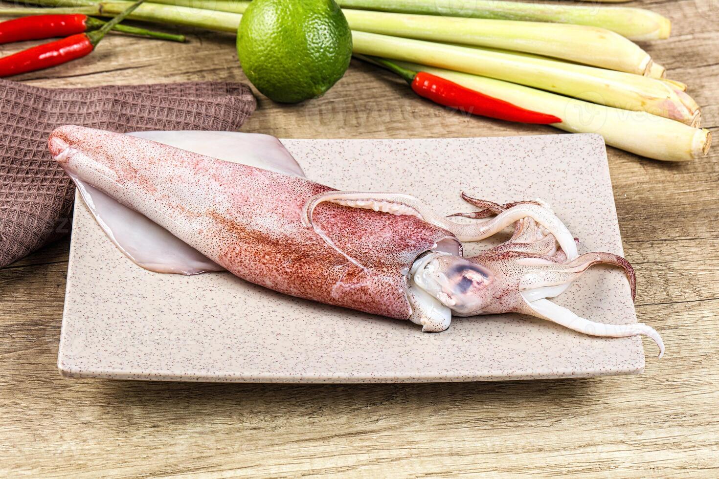 Raw fresh squid for cooking photo