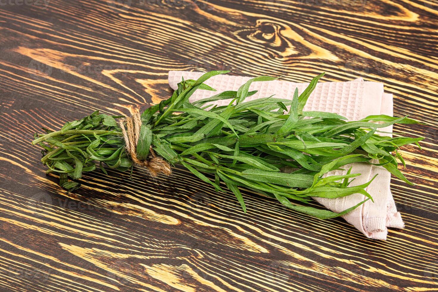 Green estragon branches for cooking photo