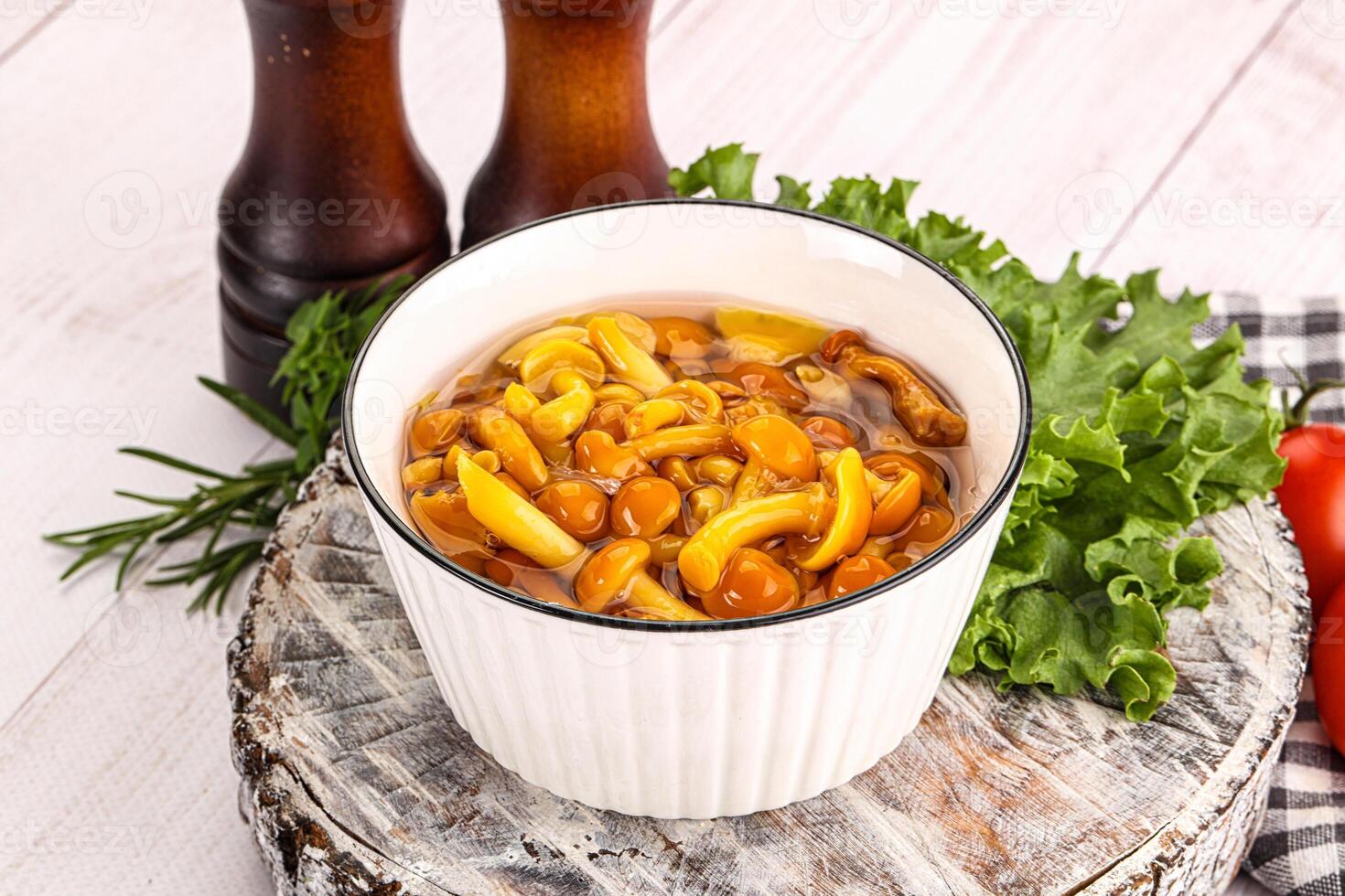 Marinated honey mushroom in the bowl photo