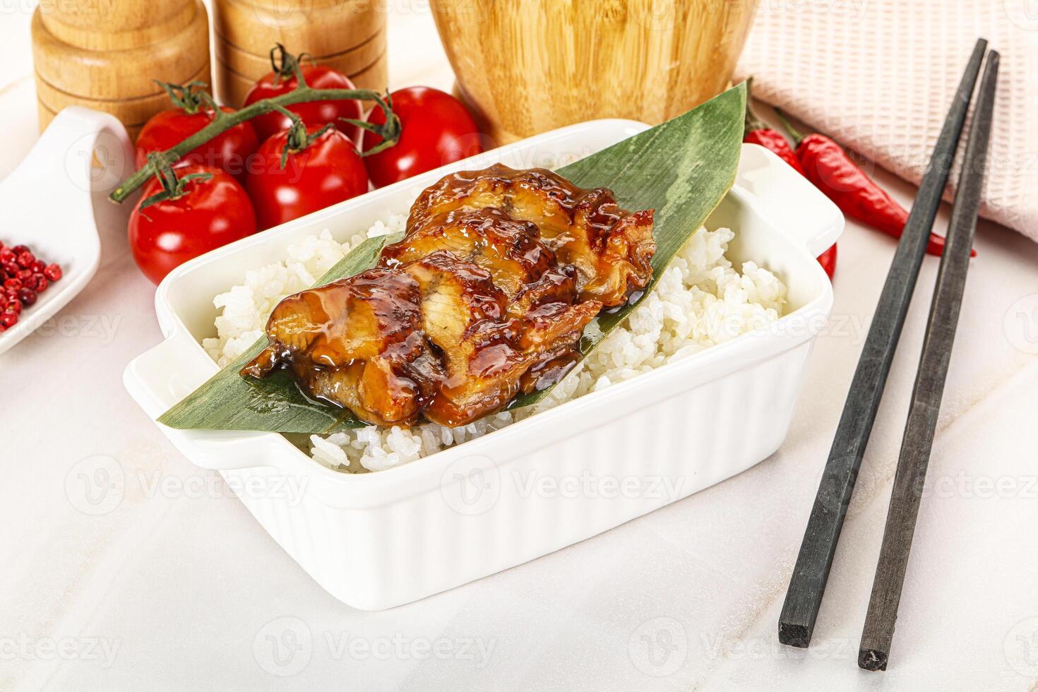 Grilled eel with steamed rice photo