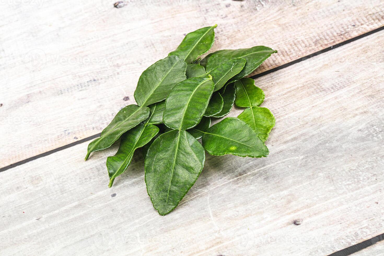 Thai cuisine - Kaffir lime leaves photo