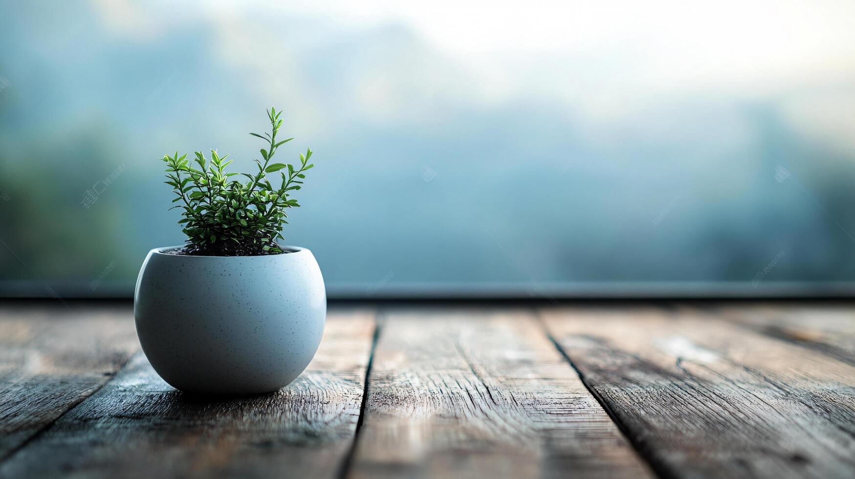 A small white plant is sitting in a white vase on a wooden table photo