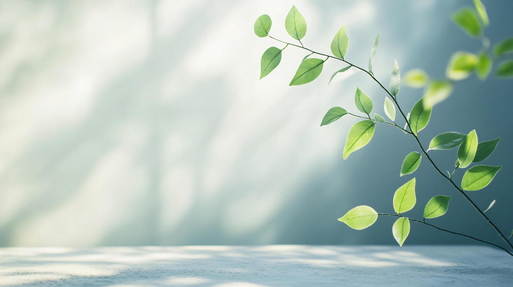 A leafy green branch is in the foreground of a white background photo