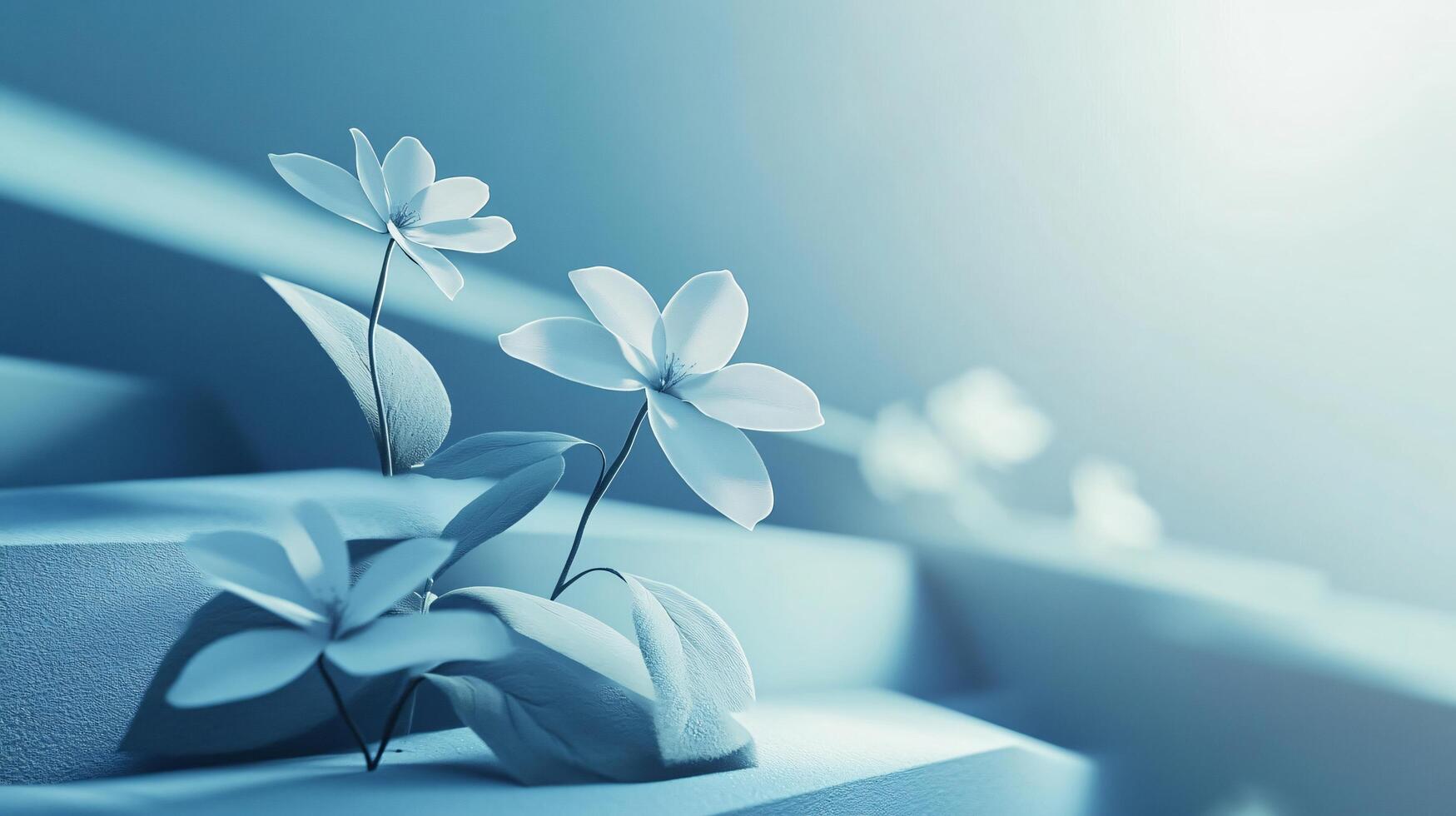 A close up of a flower with a blue background photo