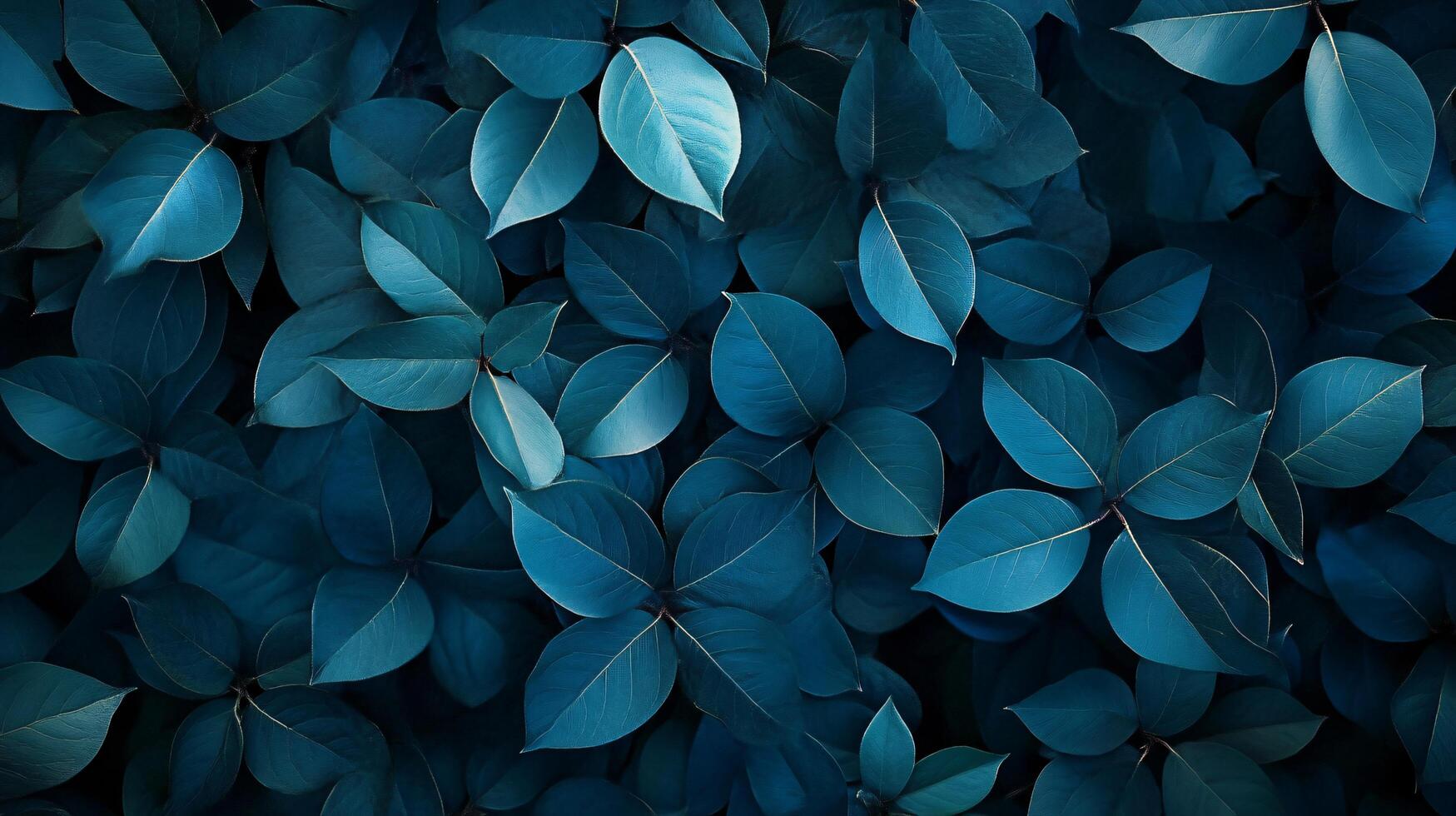 A close up of a bunch of leaves with a blue hue photo