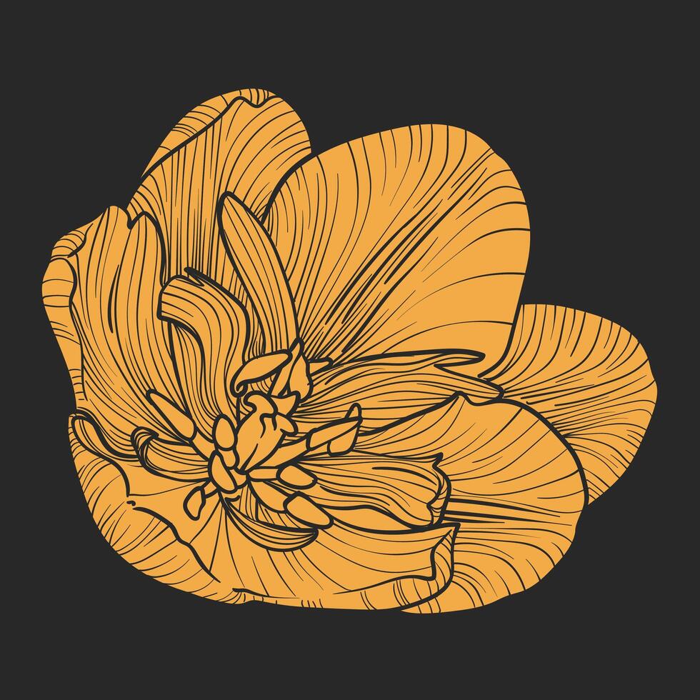 Yellow tulip blossom on dark gray background. Square design with a simple tulip flat design. Hand drawn fill only of a beautiful spring flower. No outlines. vector