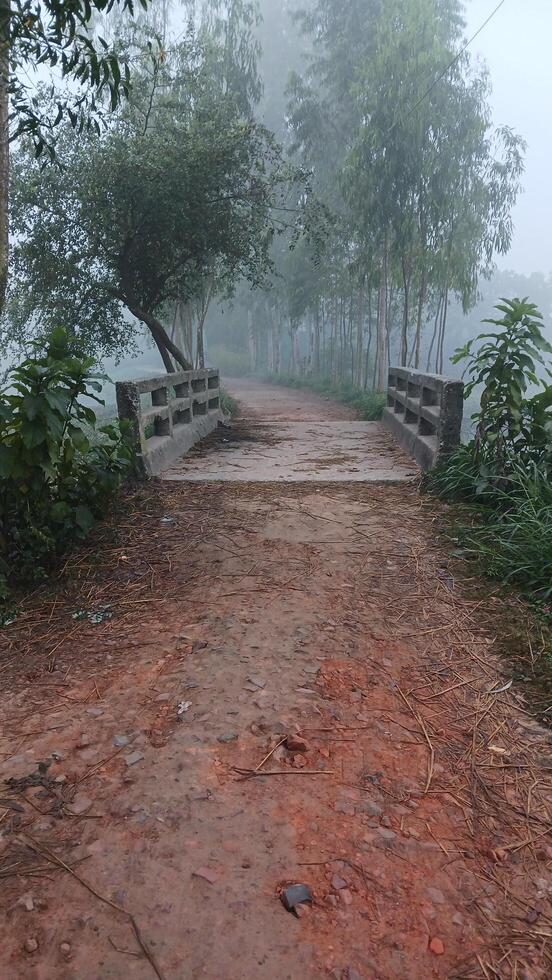 A stone bridge leads to a mysterious village shrouded in fog at dusk. photo