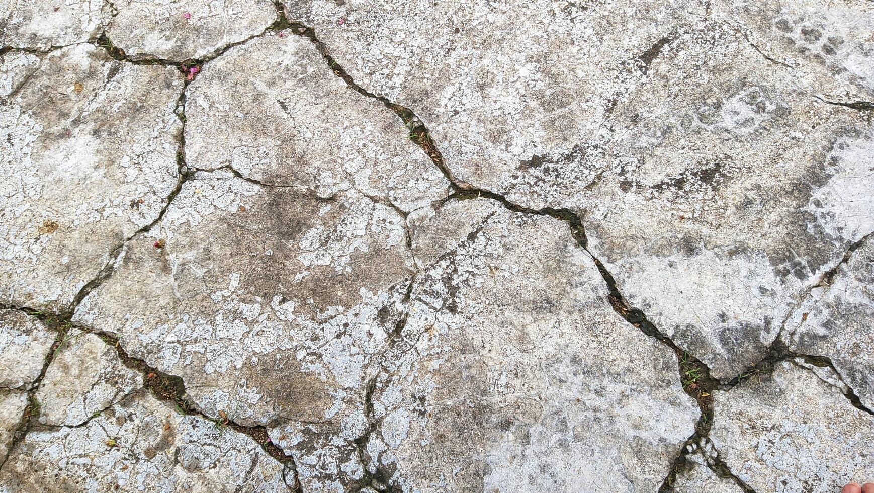 Cracked concrete texture photo