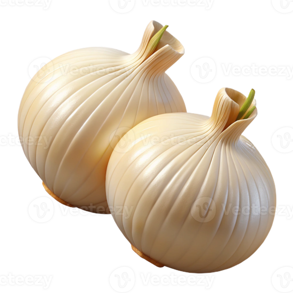 3D Render Two Onions png